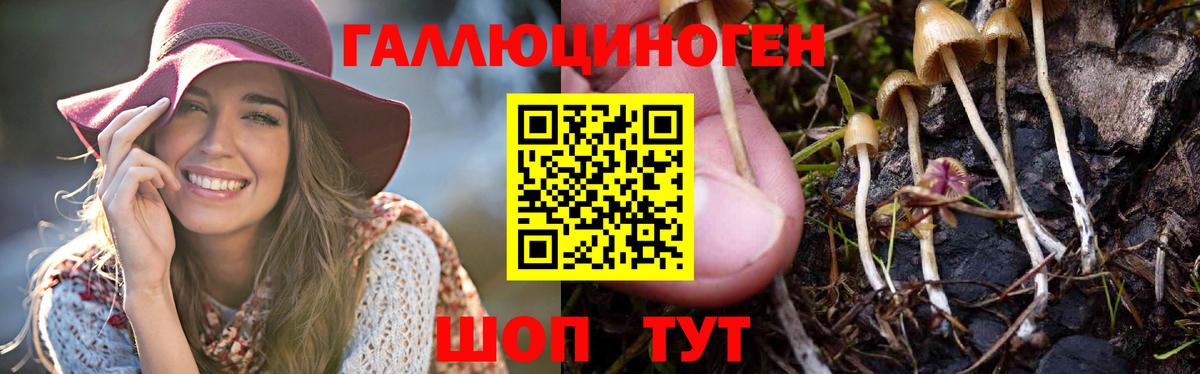 Псилоцибиновые грибы ЛСД Костомукша